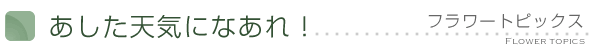 あした天気になあれ！